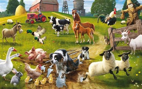 Animal farmland - Home | the-animal-farm